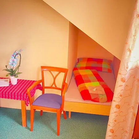 게스트하우스 Penzion Villa
