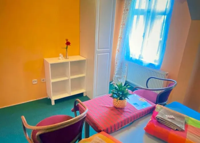 Pensionat Penzion Villa Janske Lazne